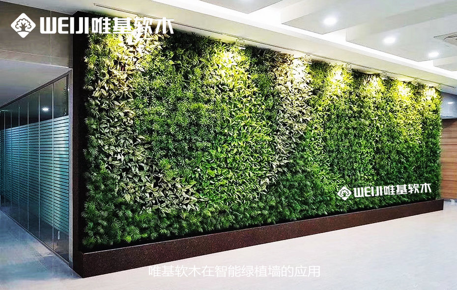 软木绿植墙